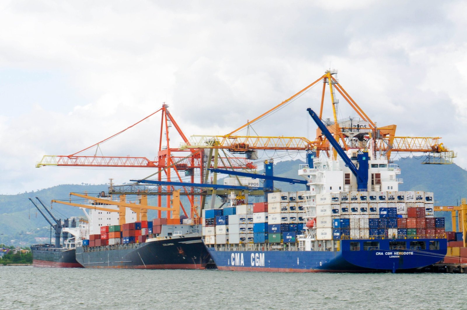 Freight Forwarding & Cargo Logistics